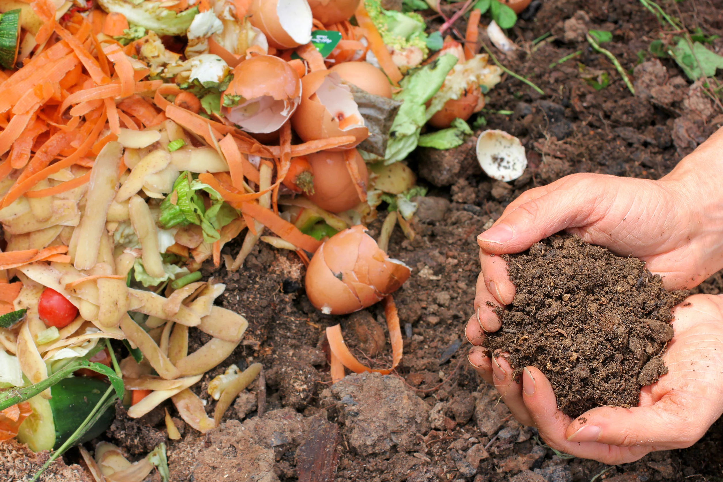 how to compost at home different things you can compost