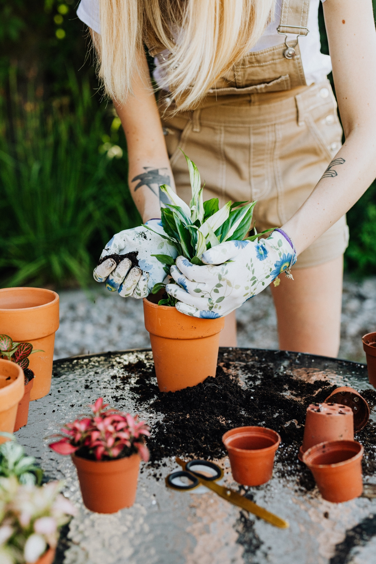 How to Sterilize Potting Soil: 8 Gardener-Approved Methods