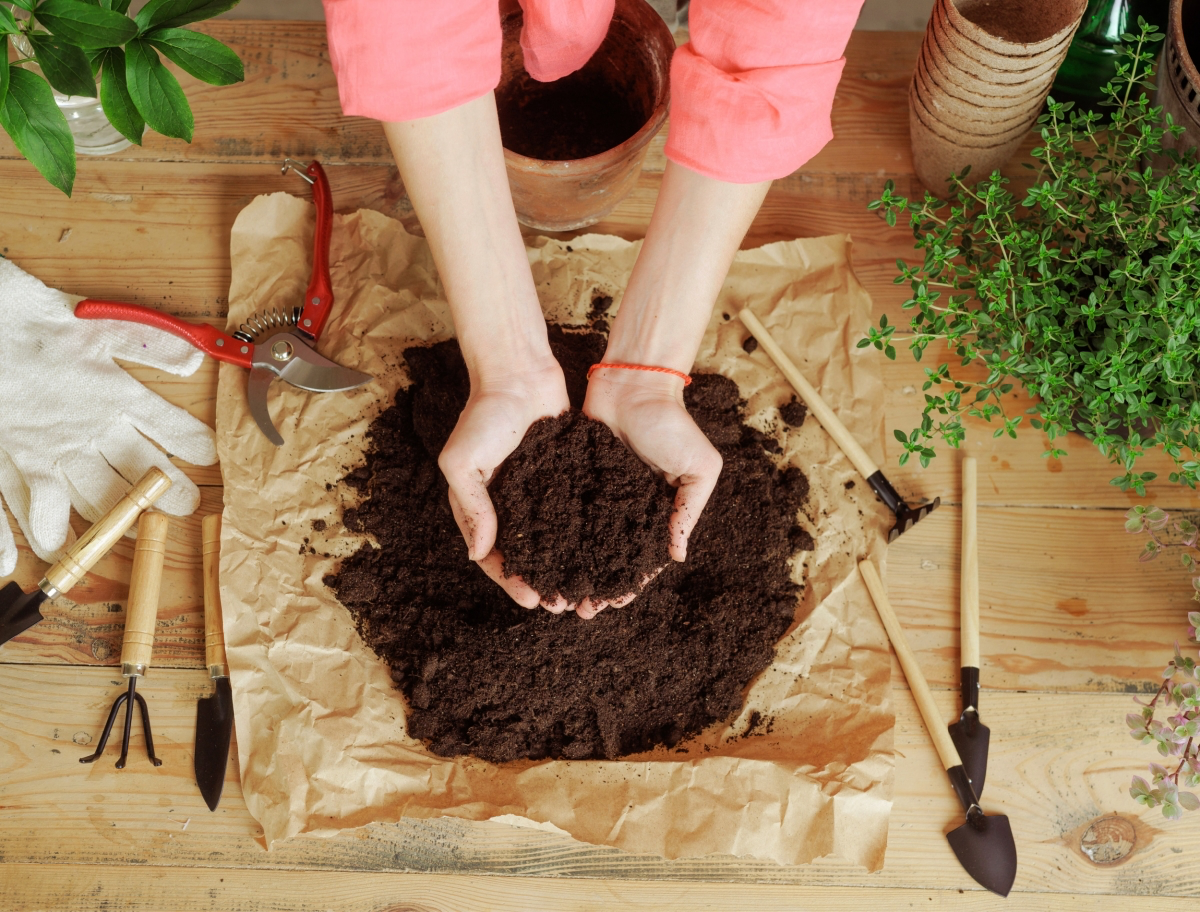 how to sterilize potting soil for houseplants