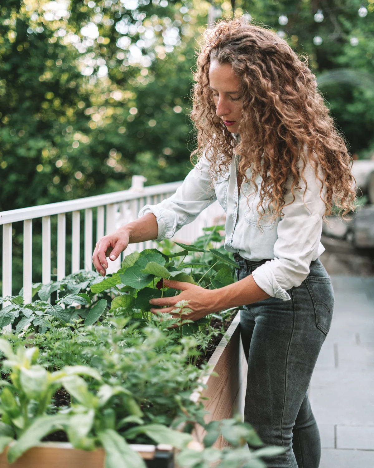 may and april gardening tips