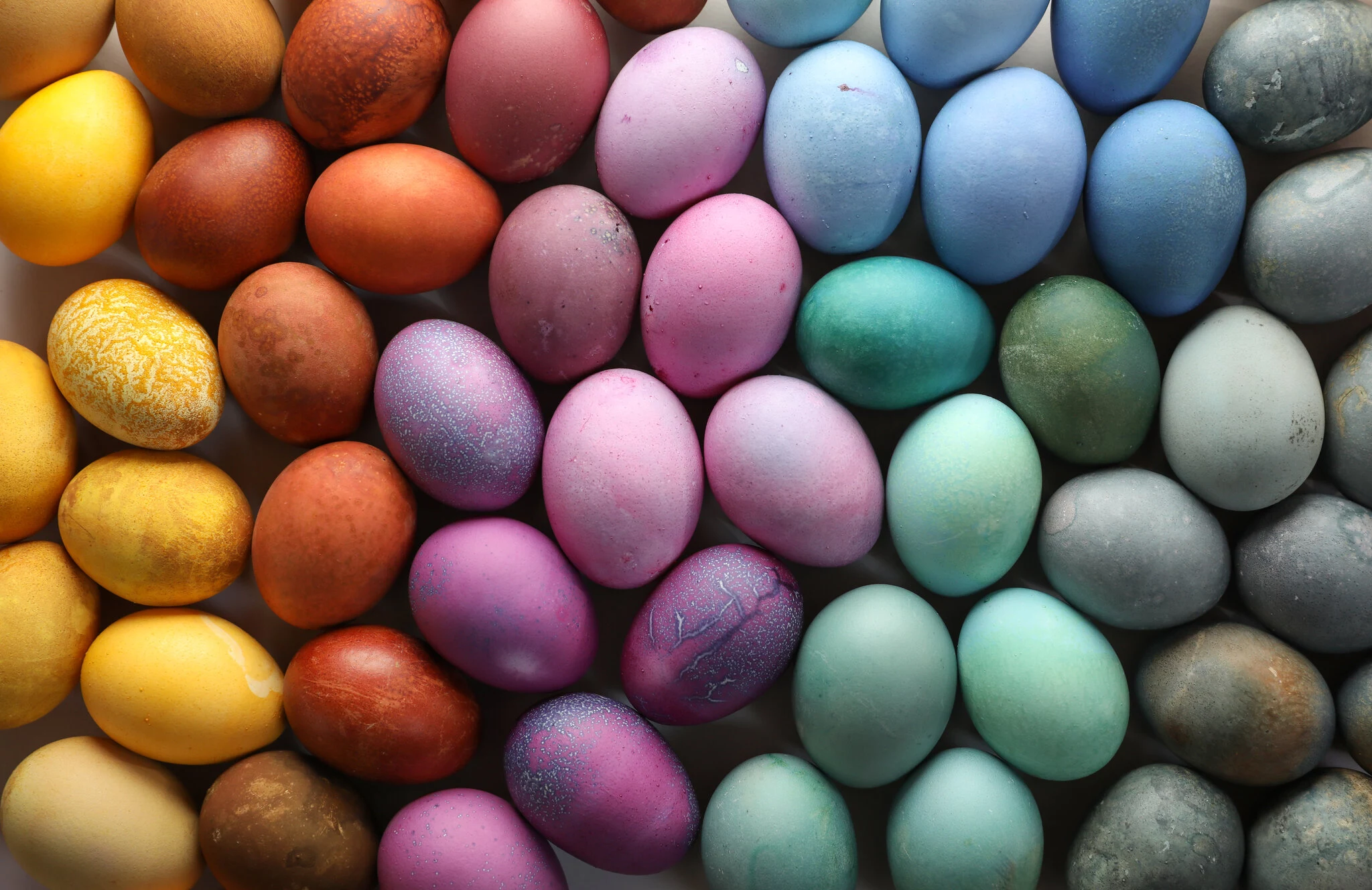 natural easter egg dyes eggs dyed in many colors