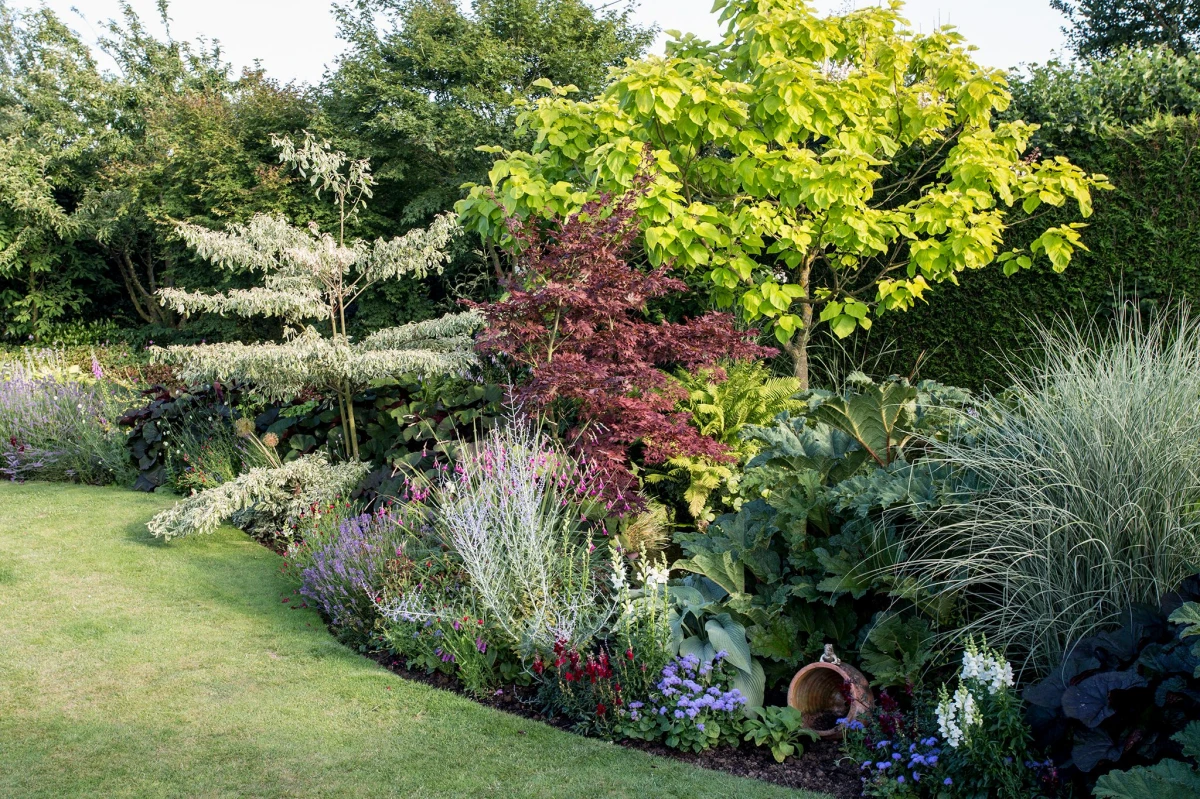 perfectly edged garden with border plants