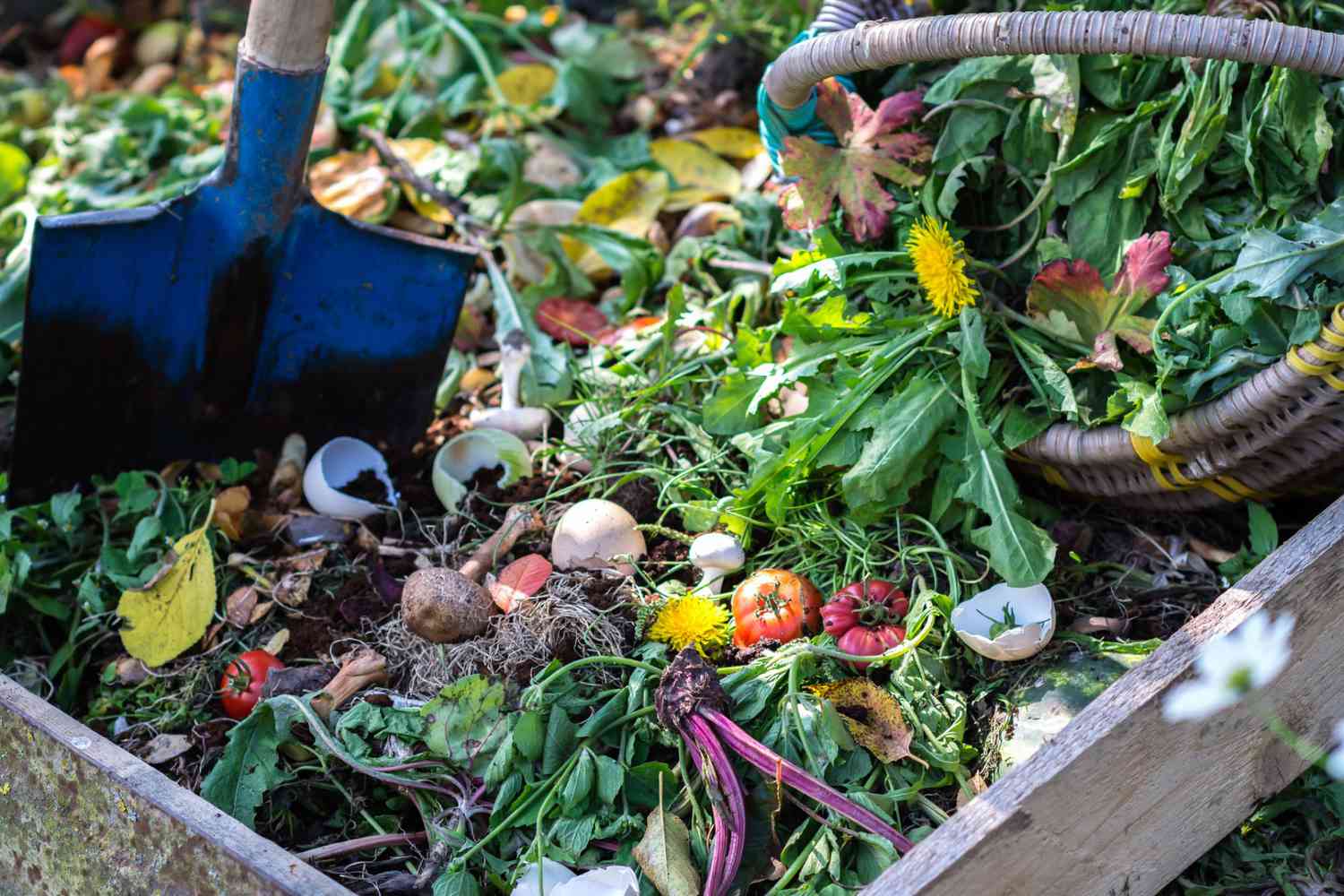 What Not To Compost And Why – The Ultimate Guide