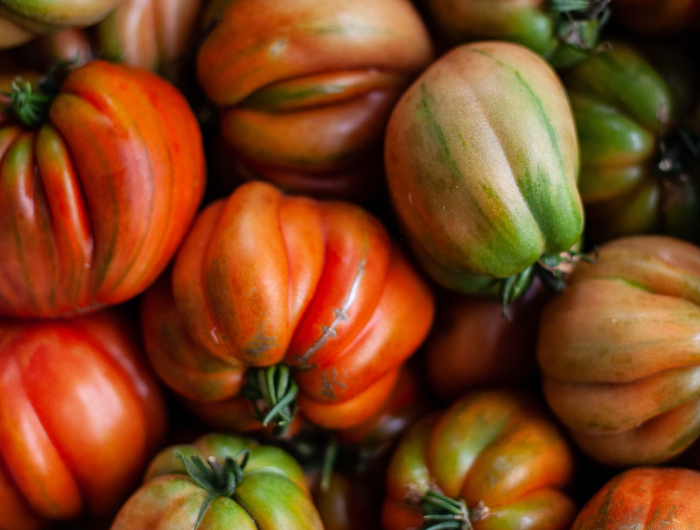 Never Grow These 7 Companions Near Your Tomato Plants