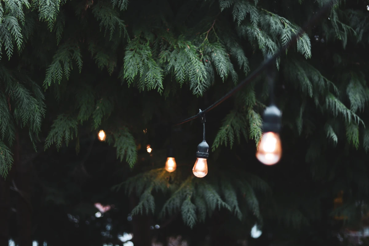 row of lightbulbs outside