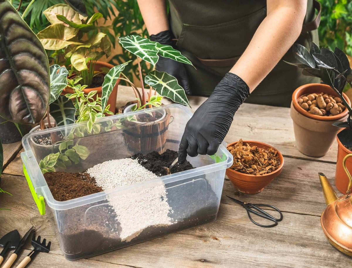 should you sterilize potting soil