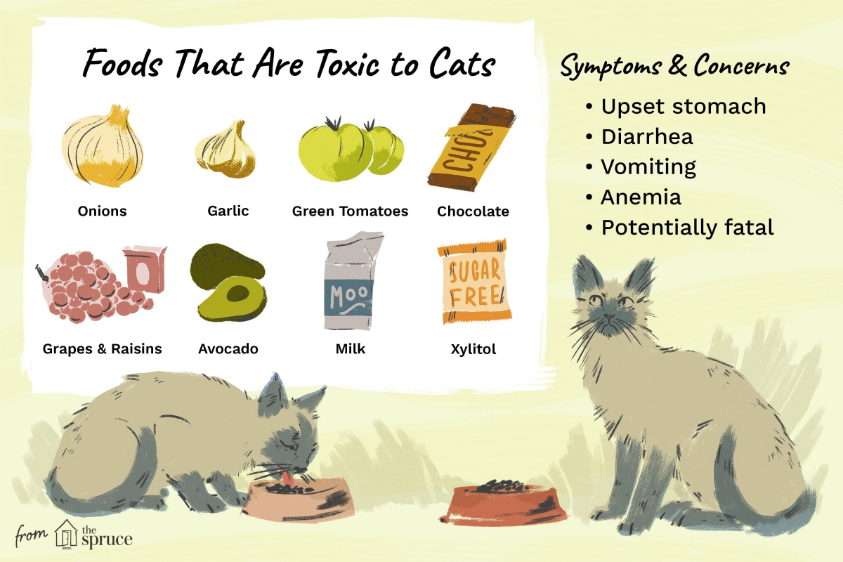 Cat safe clearance fruits