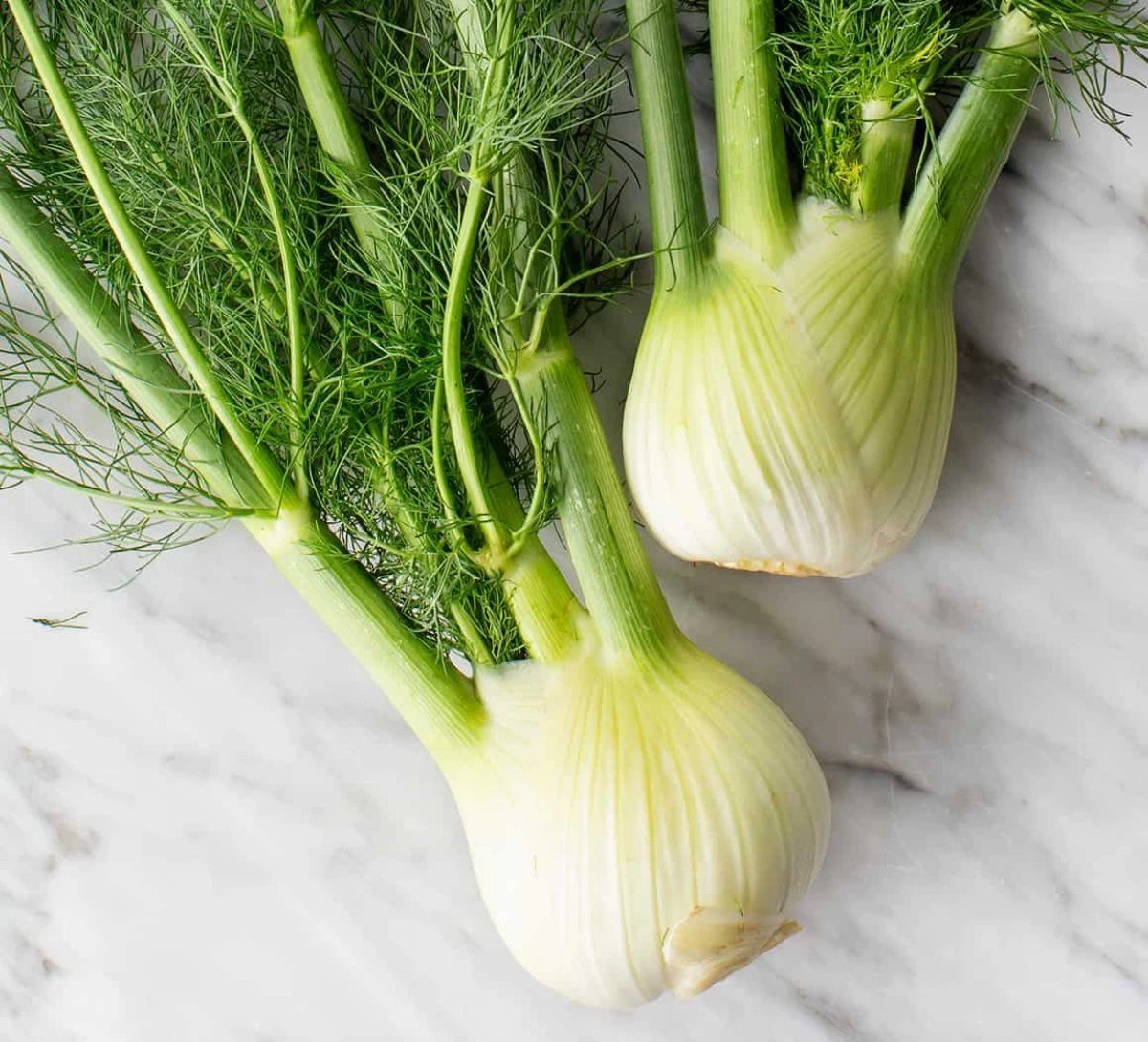 two pieces of fennel