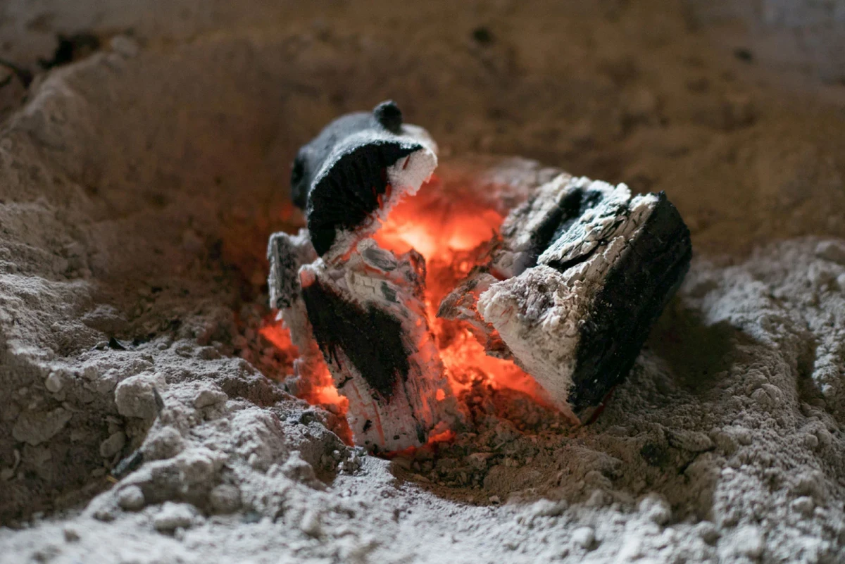 what not to compost ashes and chacoal burning