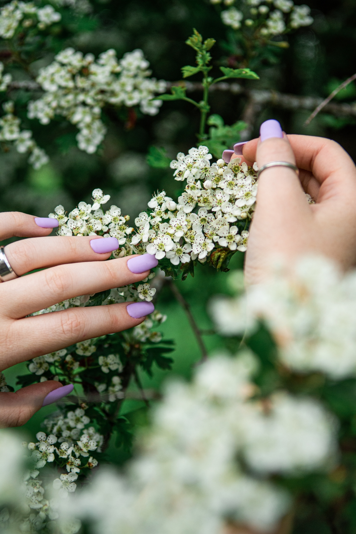what your nail shape says about you