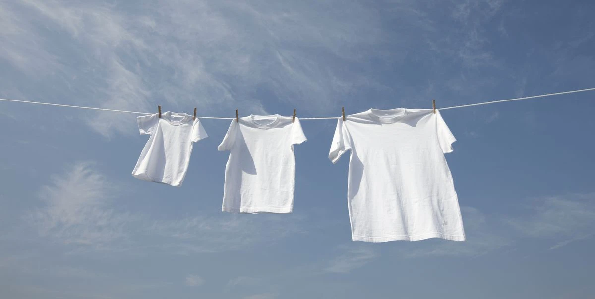 white t shirts in a row on washing line