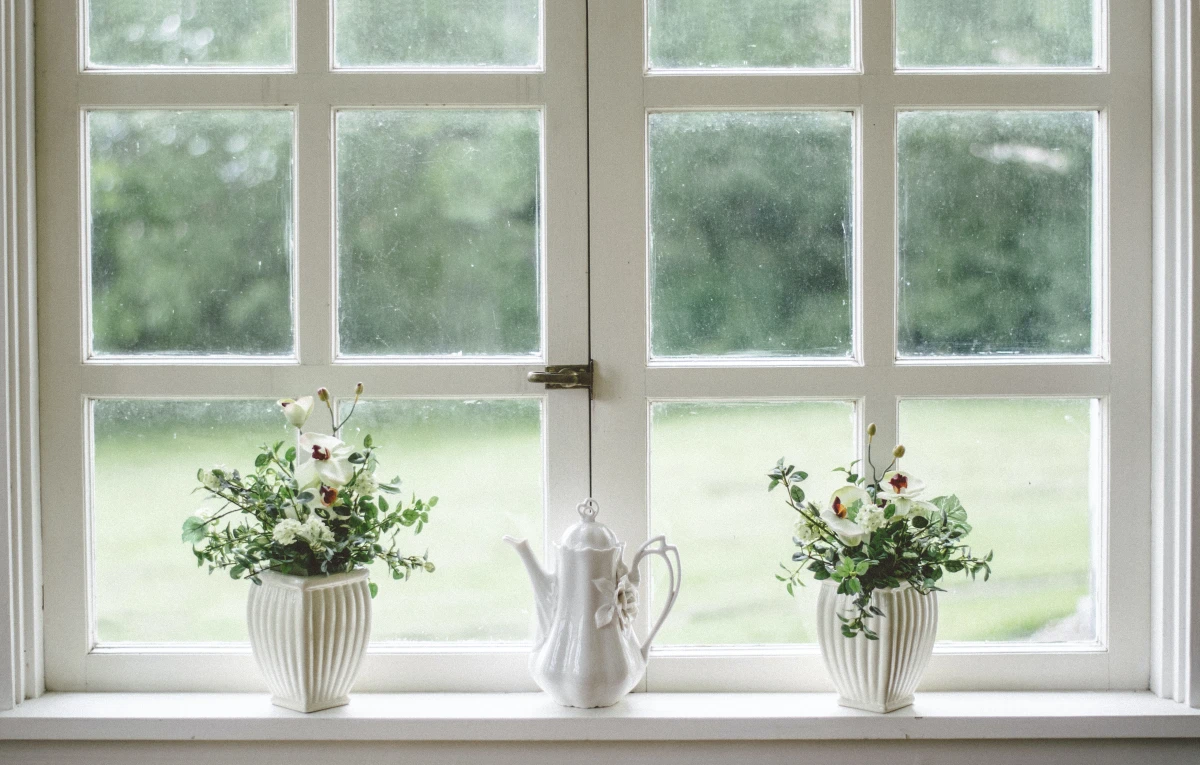 white window frame with plants in front