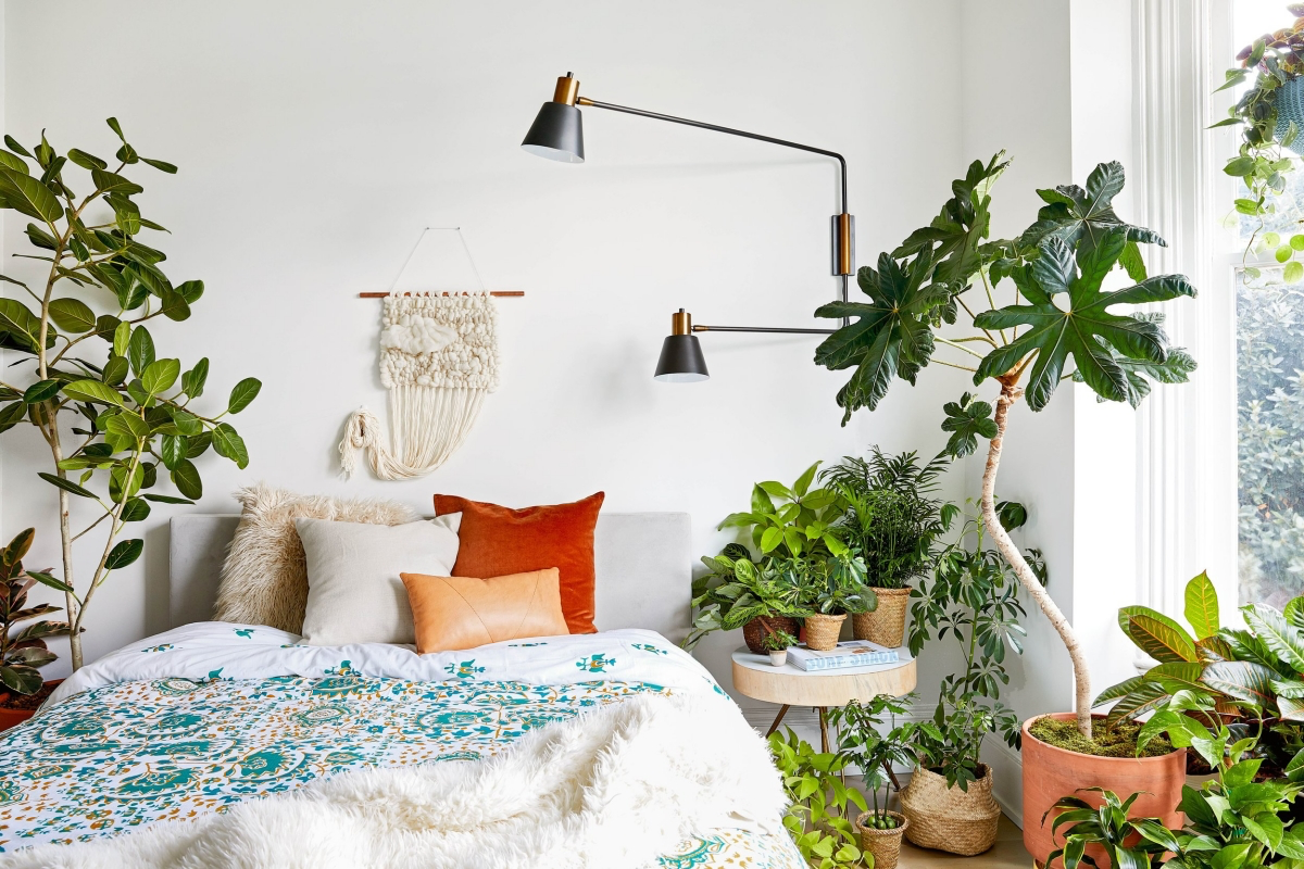 are plants good feng shui in the bedroom