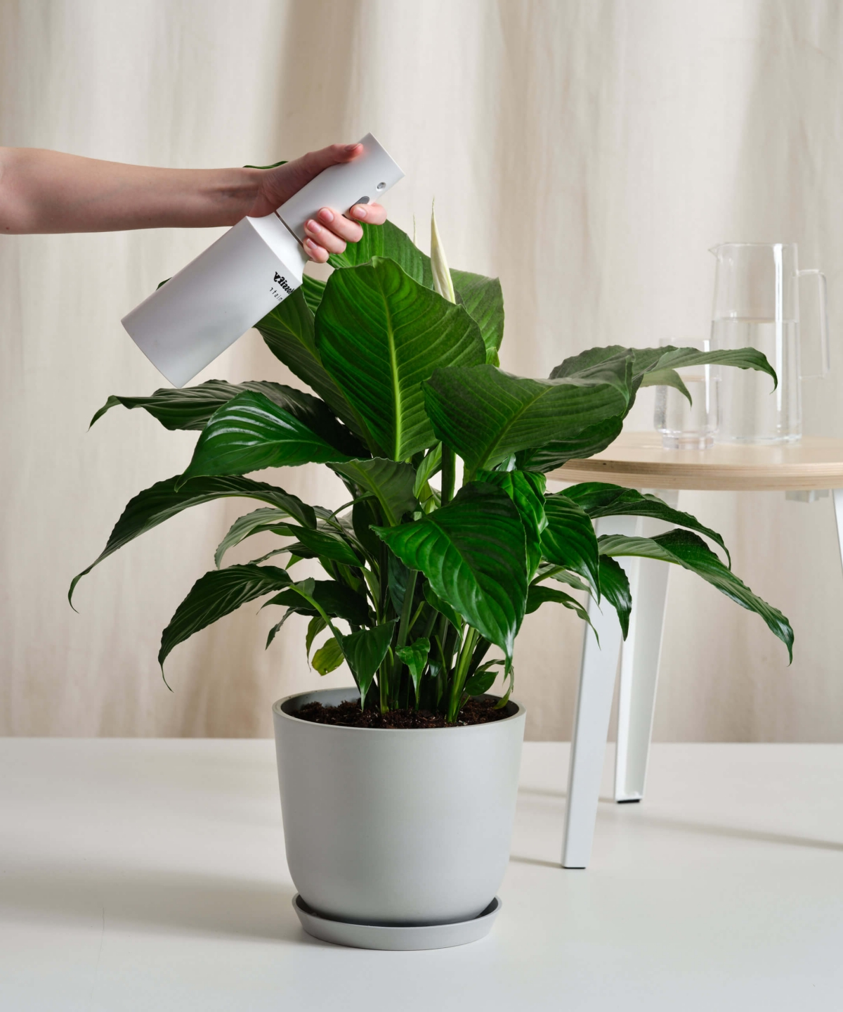 benefits of peace lily indoor plant
