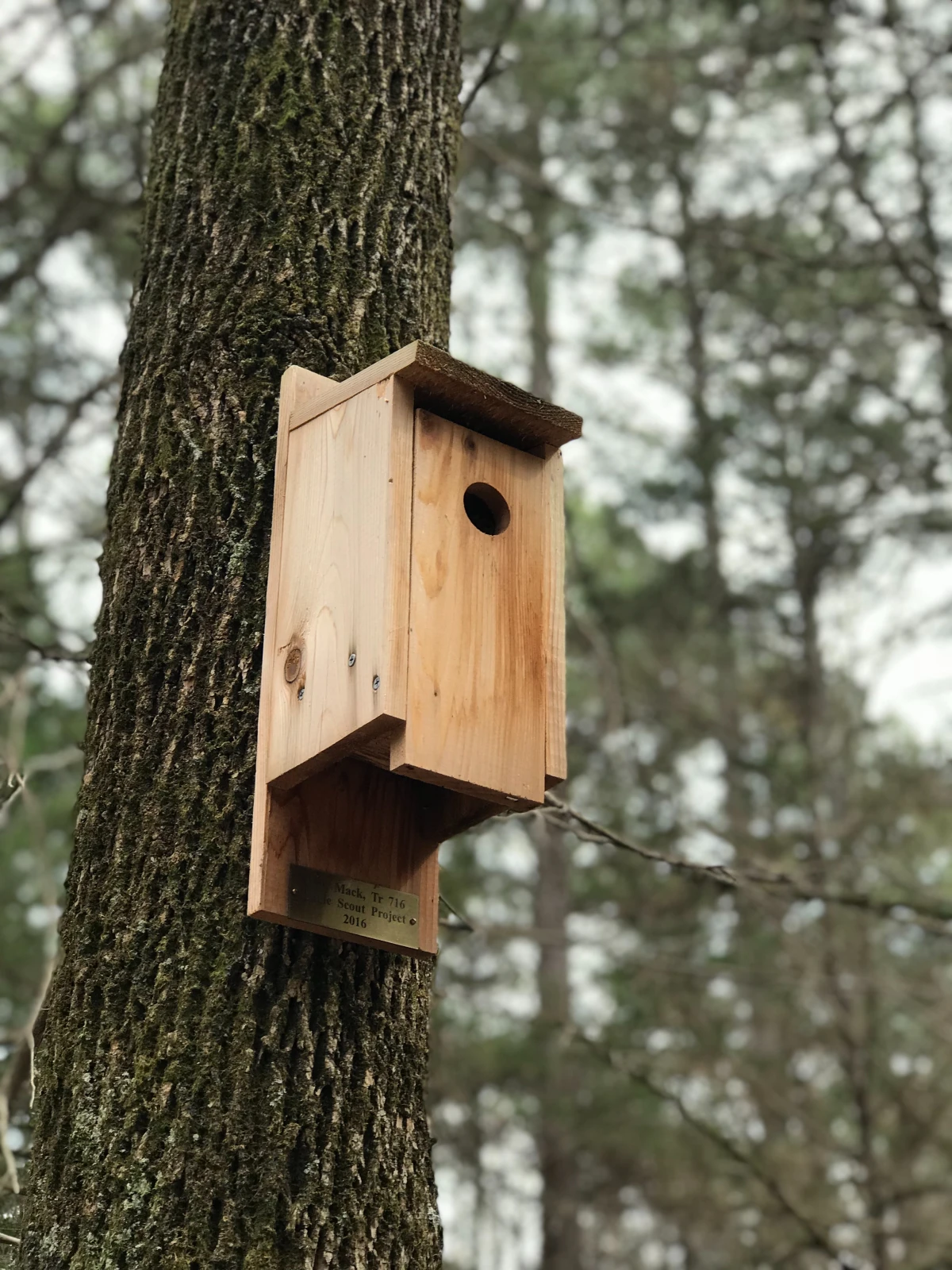 birdhouse hanging on tree