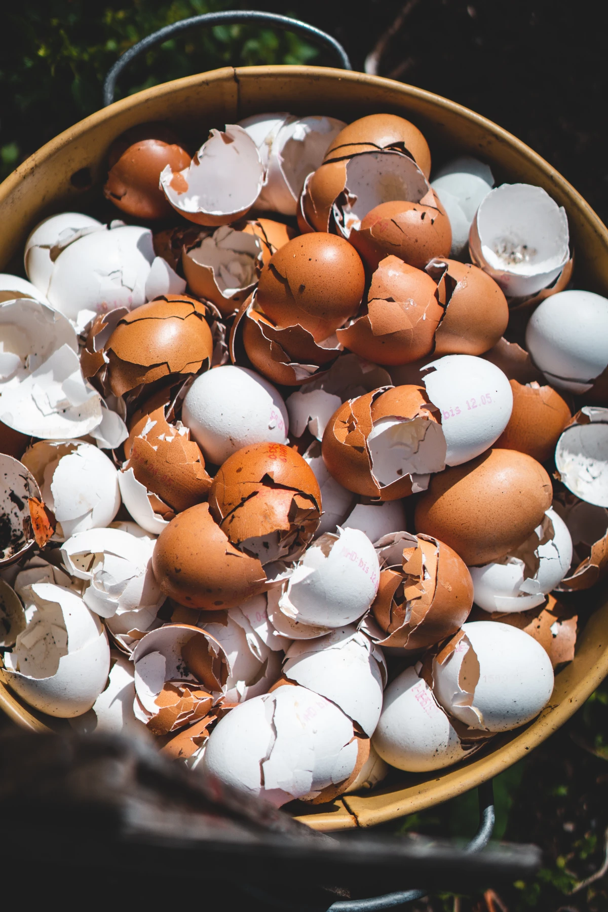 bowl of broken eggshells