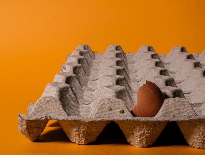 7 Surprising Ways To Reuse Egg Cartons That You Need To Know