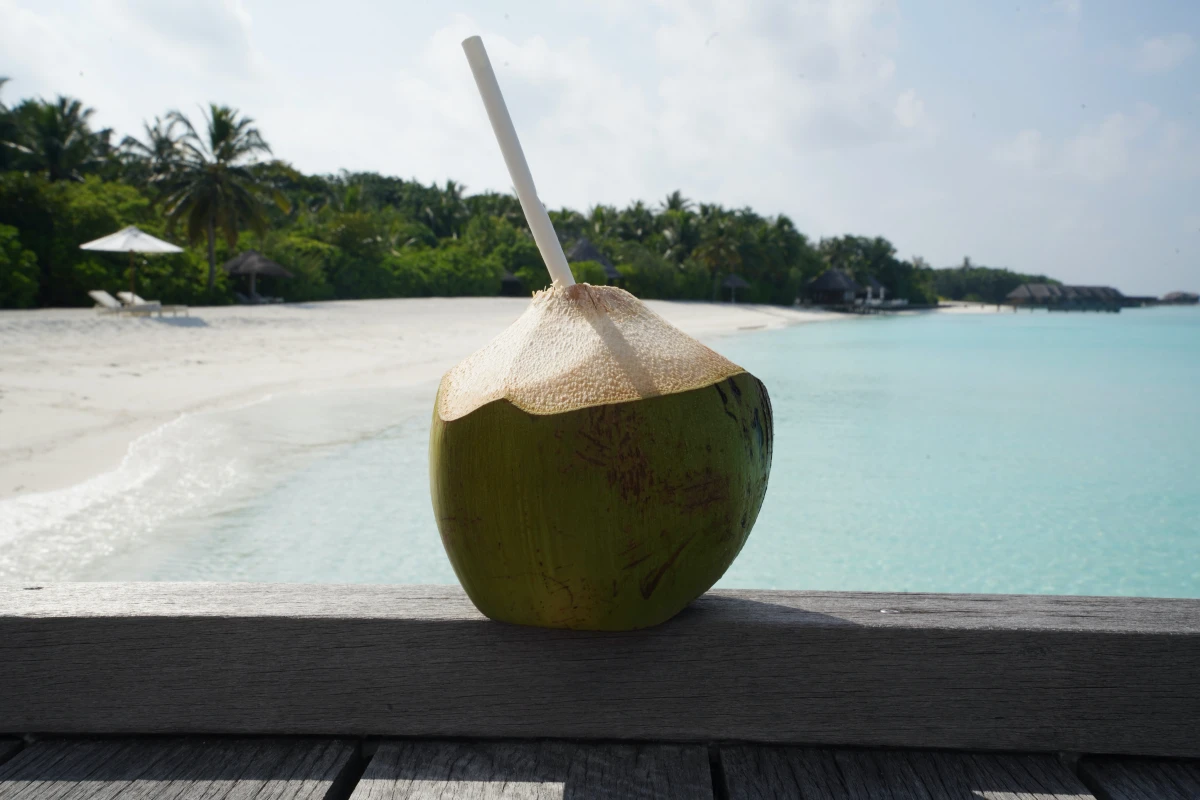 coconut with a straw in it