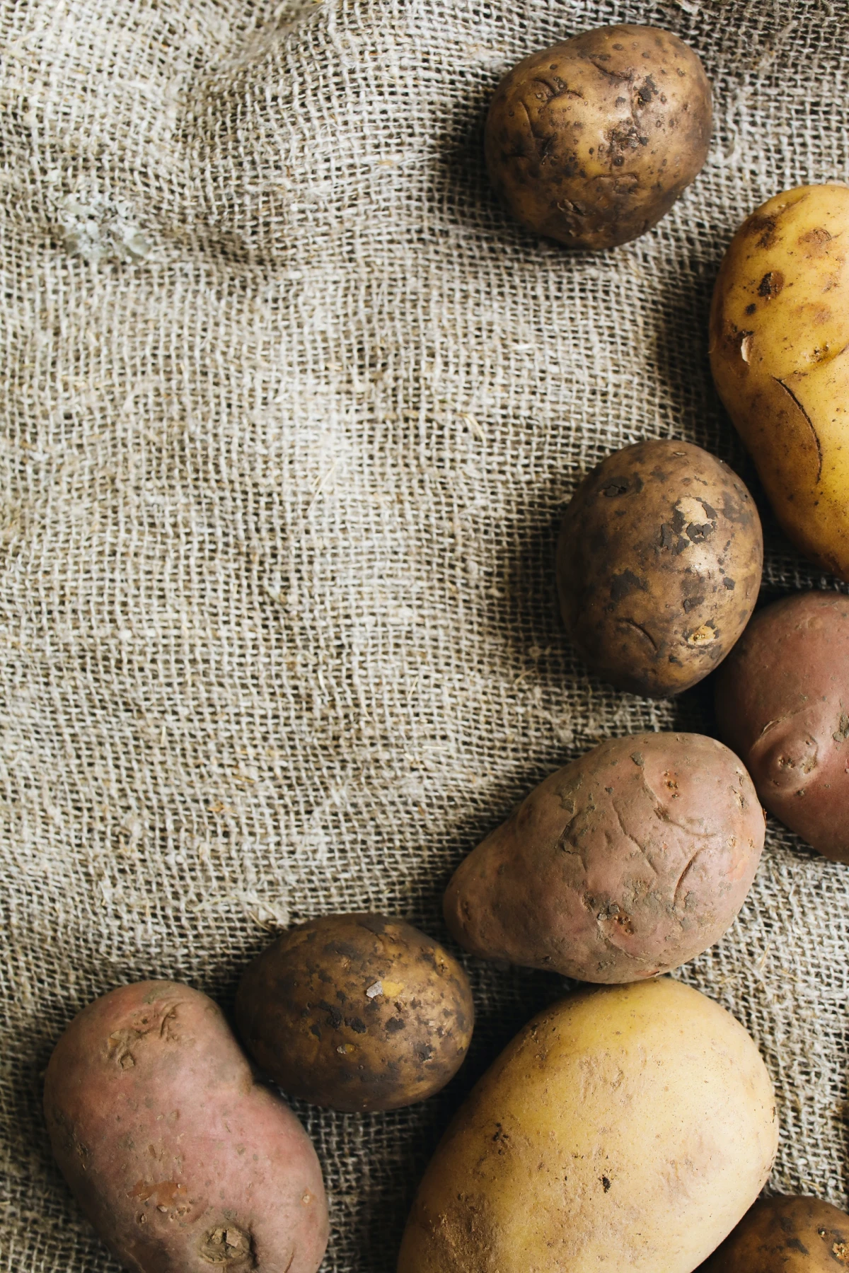different types of potatoes