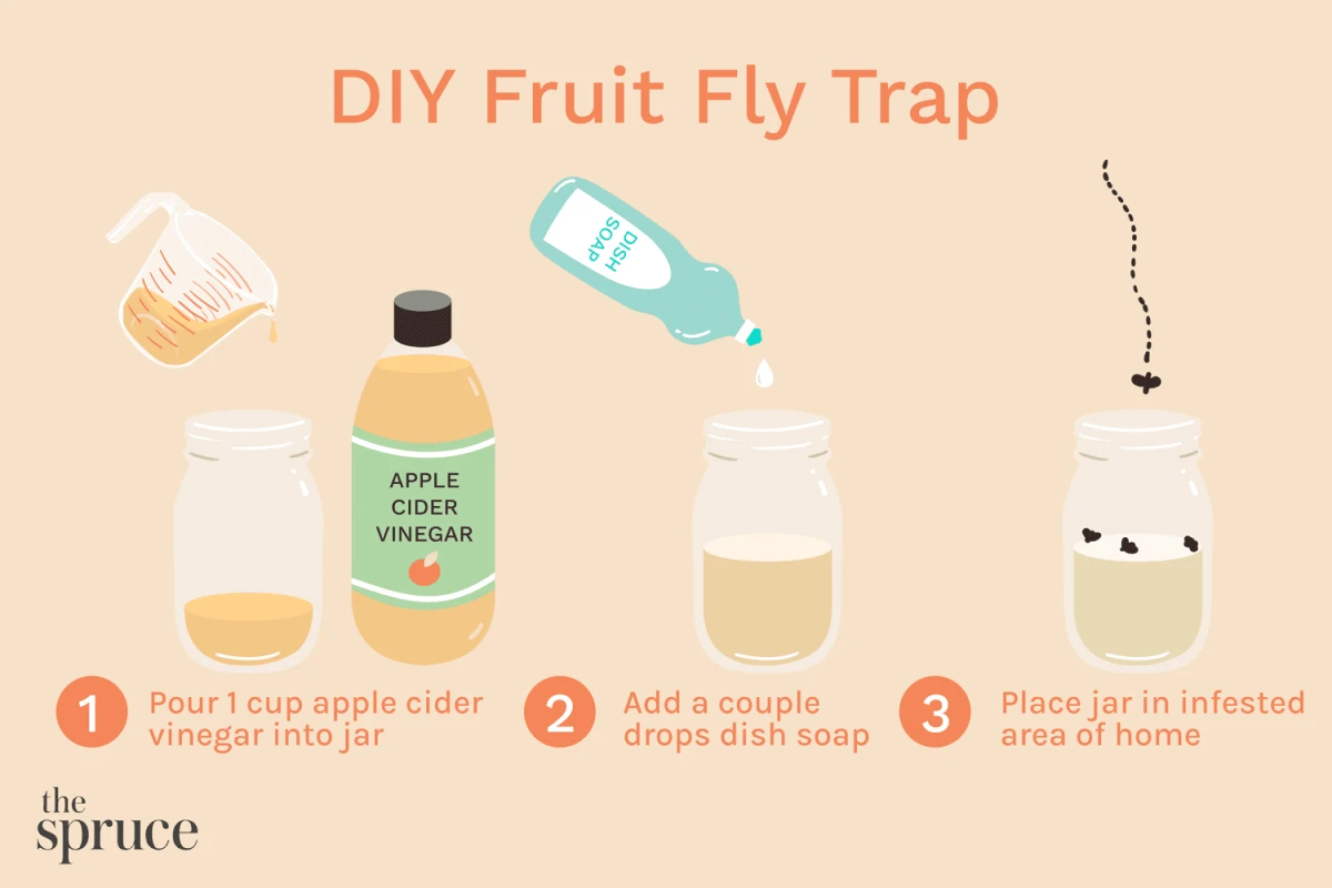 diy fruit trap with vinegar