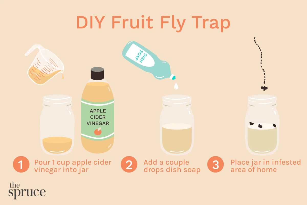 How To Get Rid Of Drain Flies 7 Simple Solutions