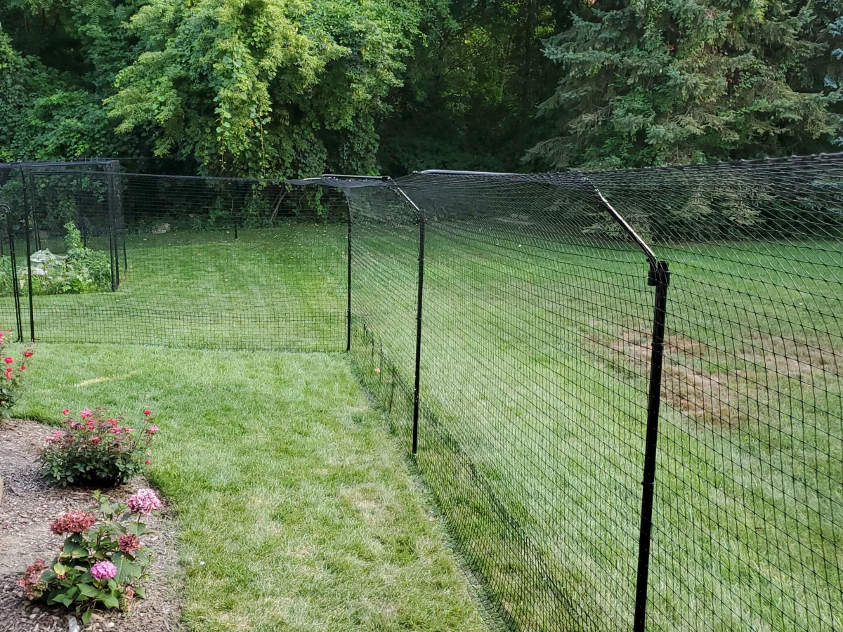 fence made against cats