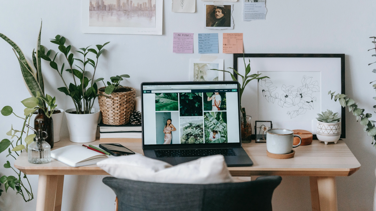 feng shui plants in living office.jpg