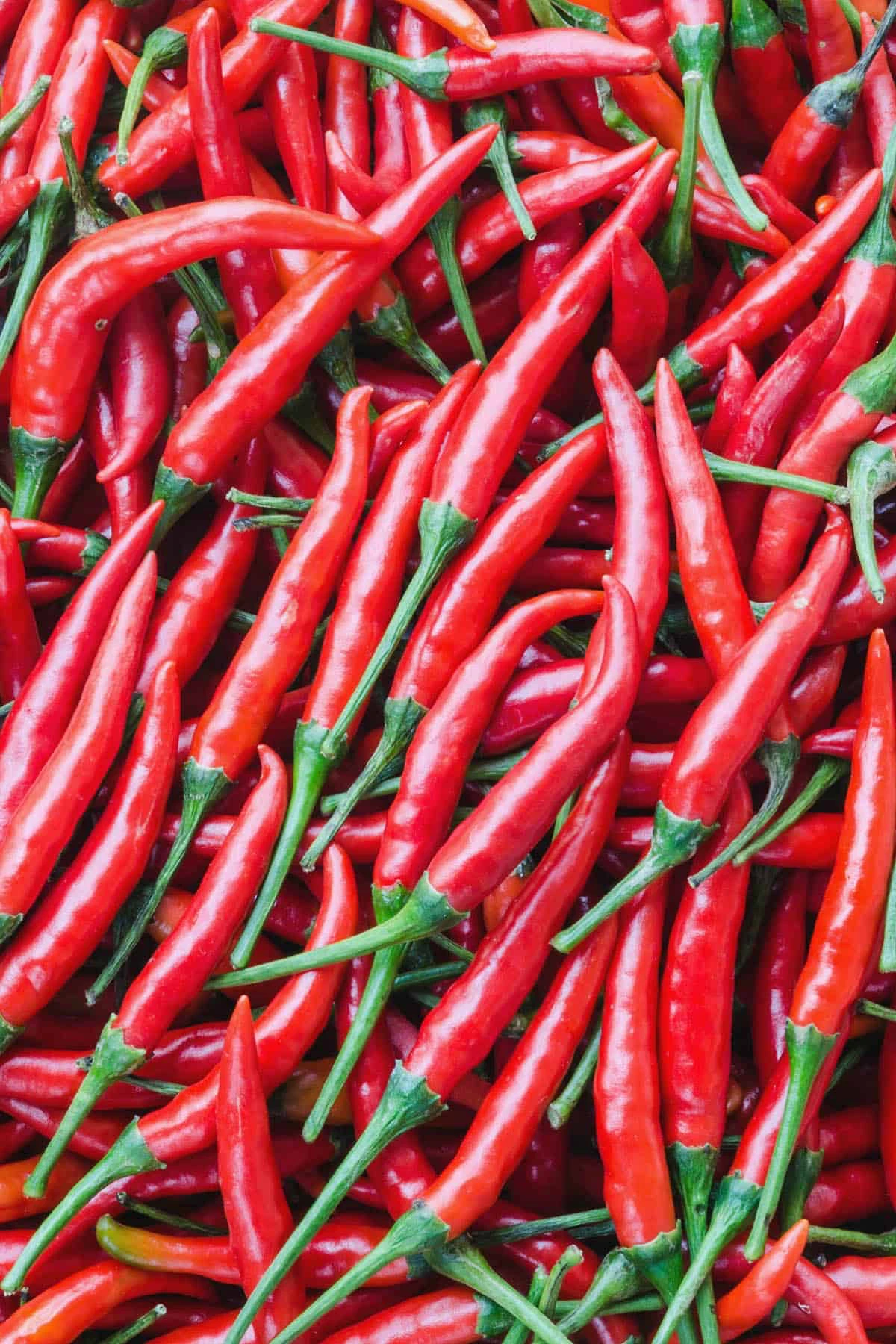 how to get rid of rats cayenne peppers red
