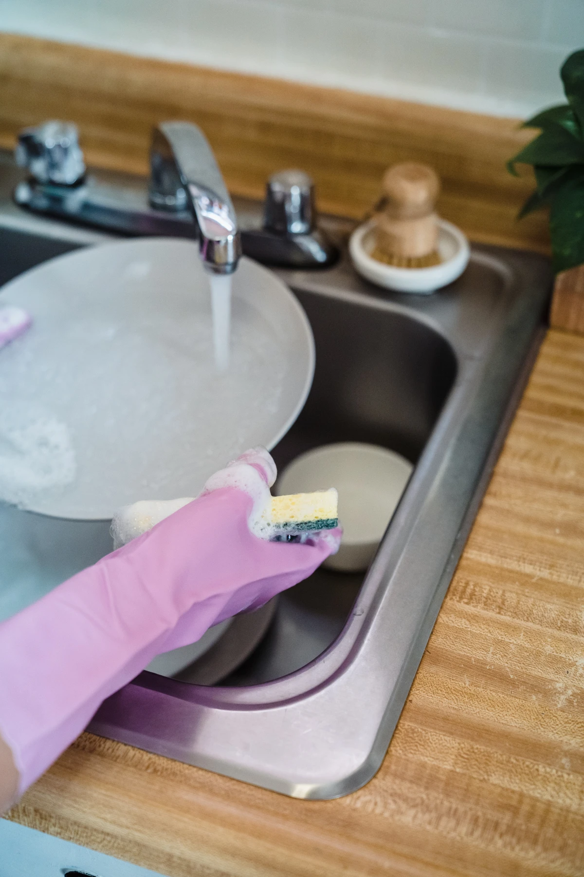 how to get rid of rats cleaning dishes at sink