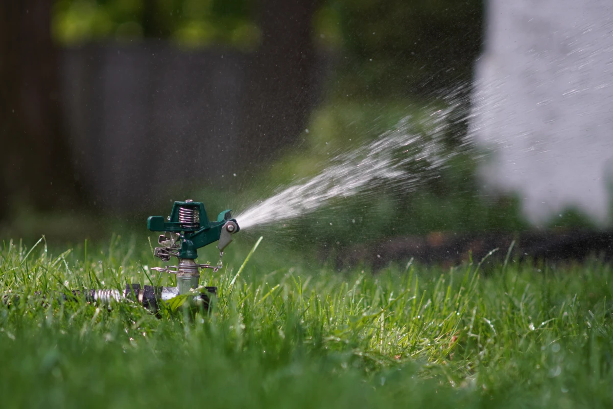 how to keep cats out of your yard sprimklers in the garden