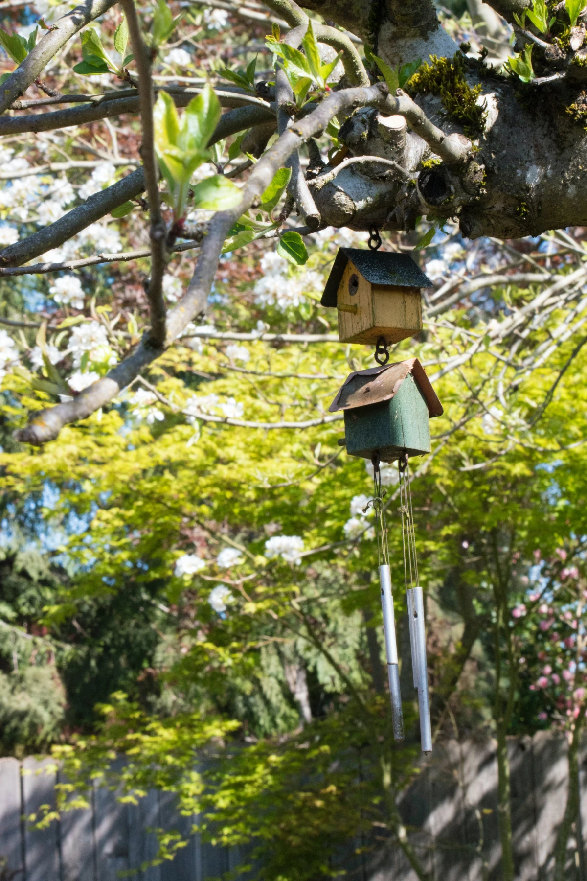 how to keep cats out of your yard wind chimes hanging from tree
