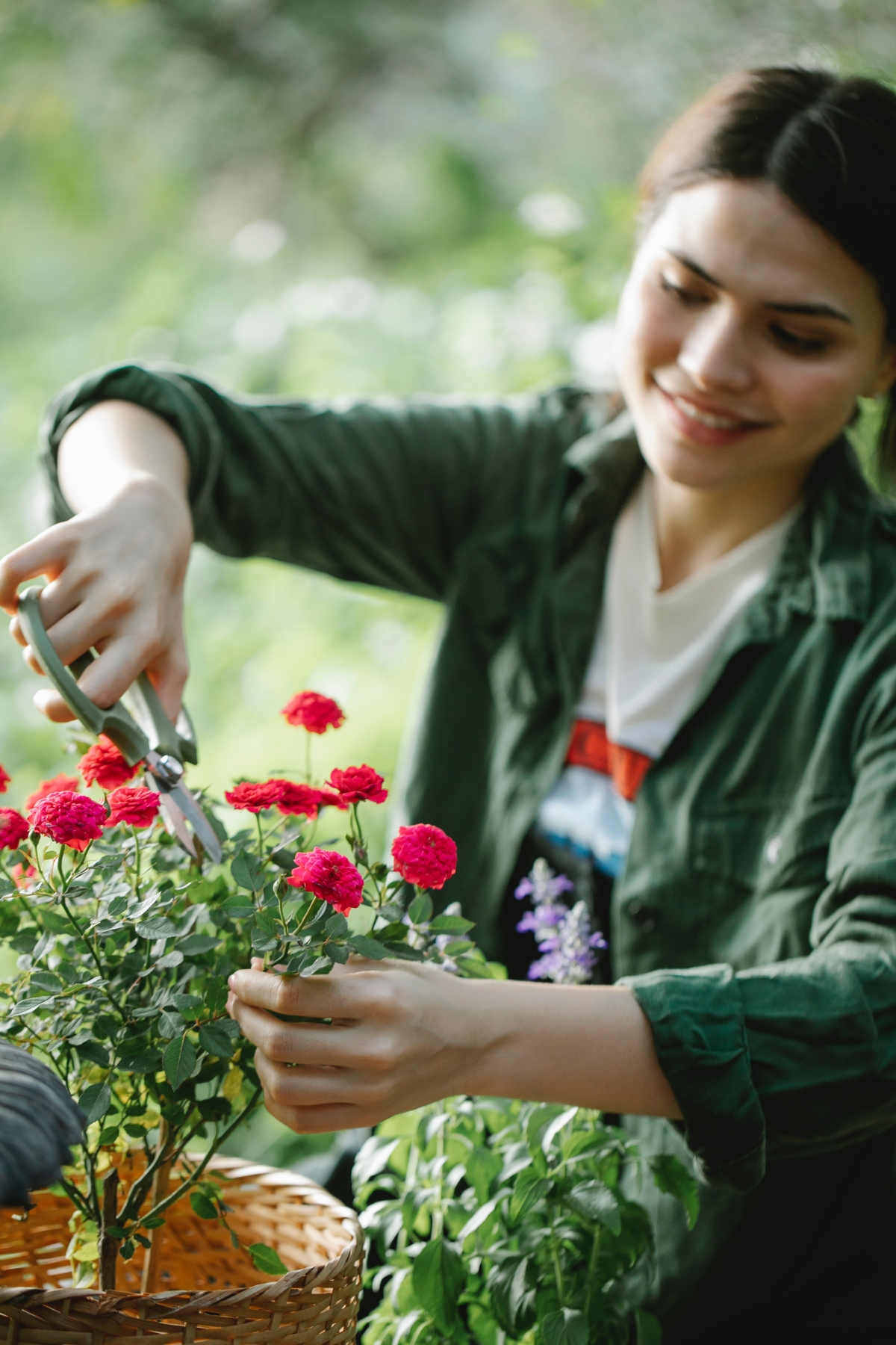 How to Prune Your Roses Like a Professional: Ultimate Guide