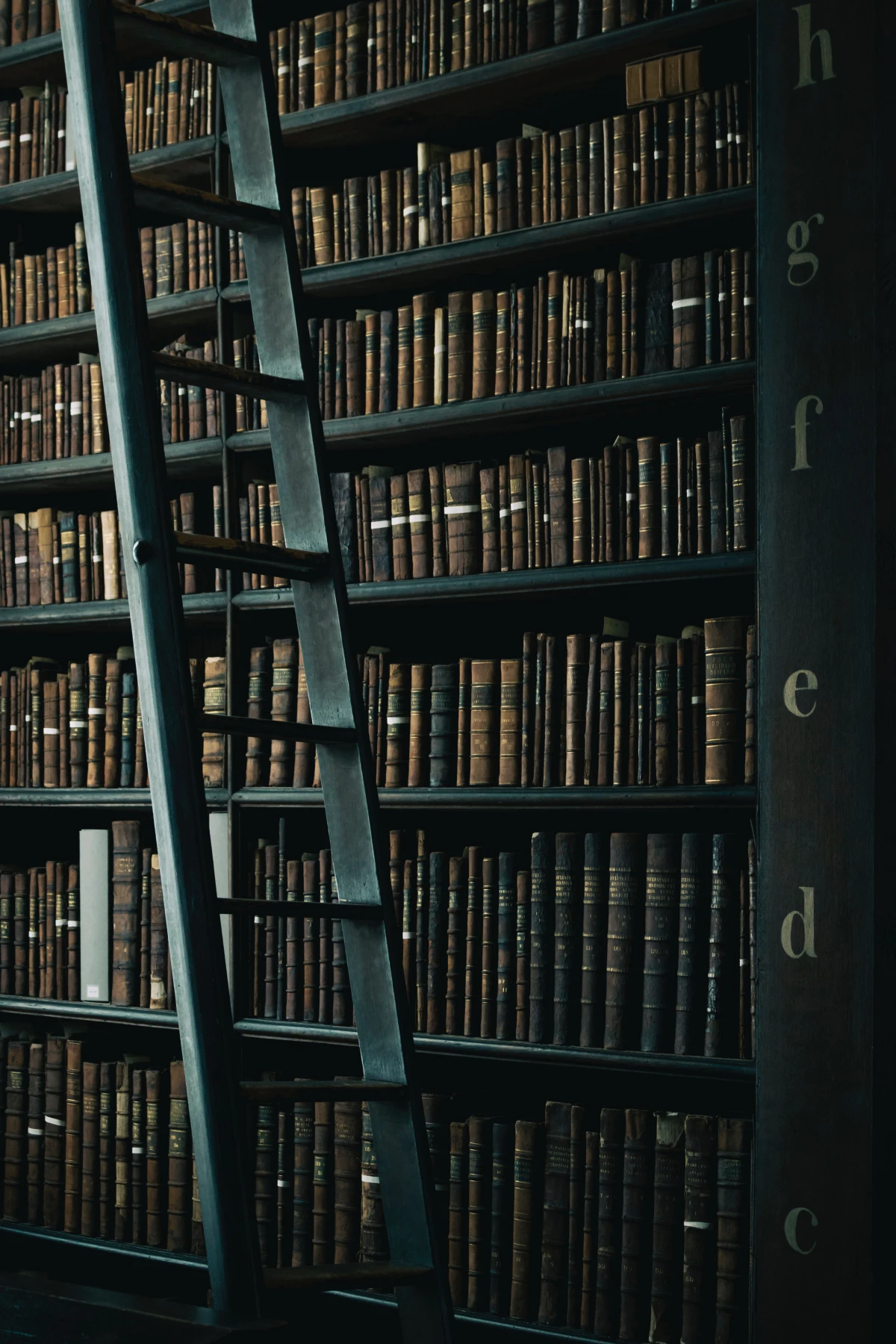 ladder in front of books