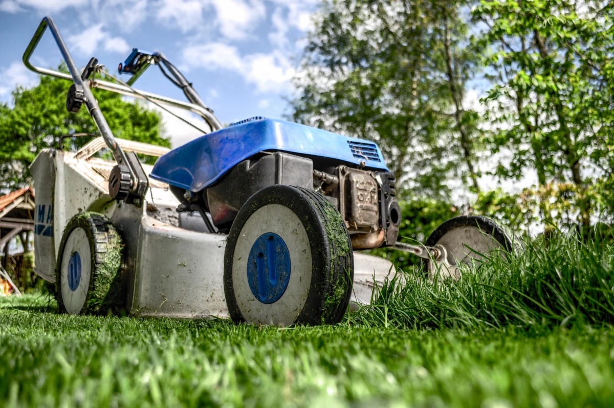 mower being used on grass