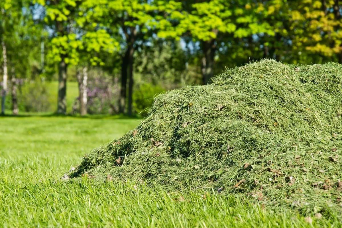 pile of grass clippings in yard