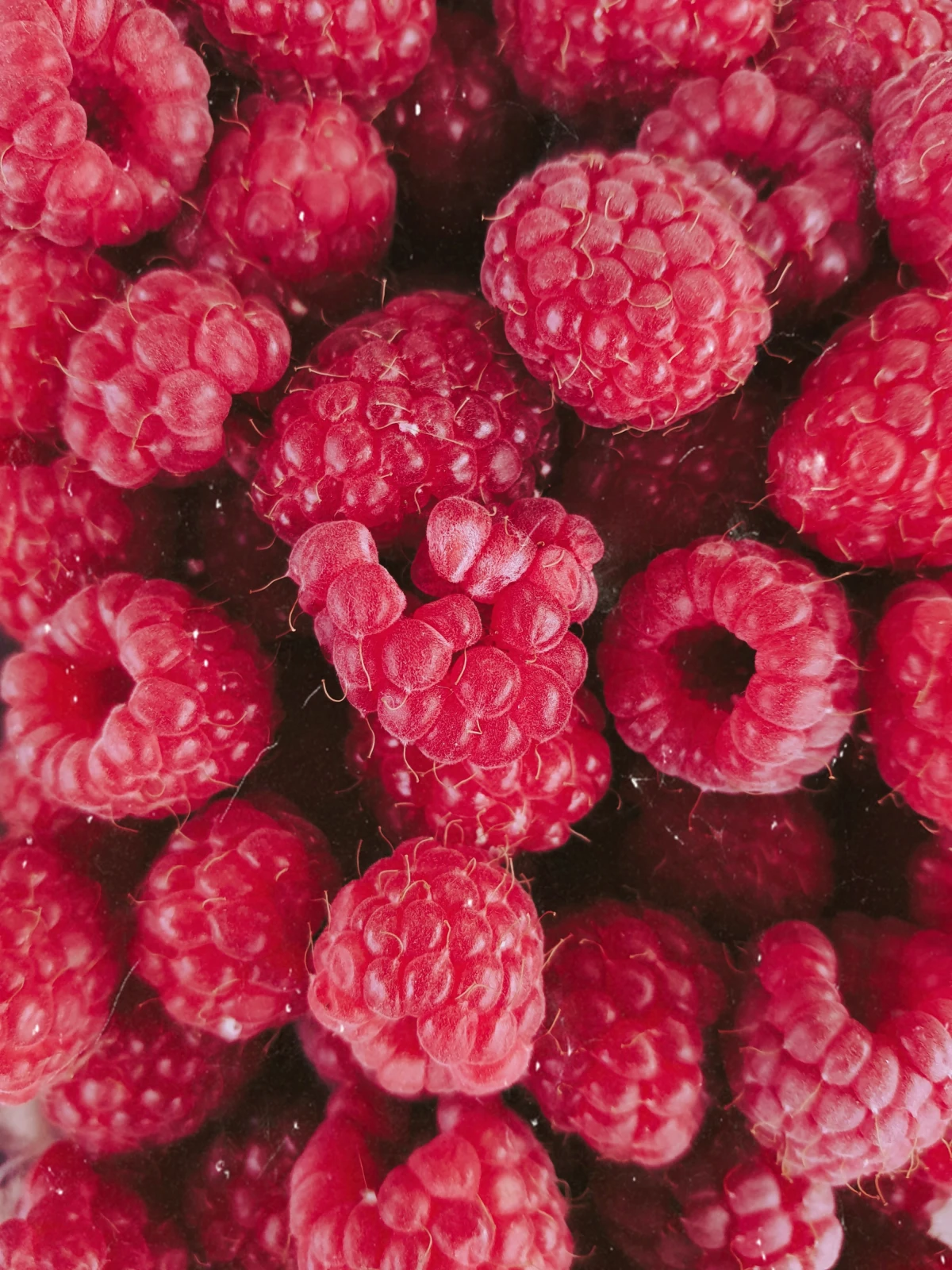 pink raspberries in a bunch