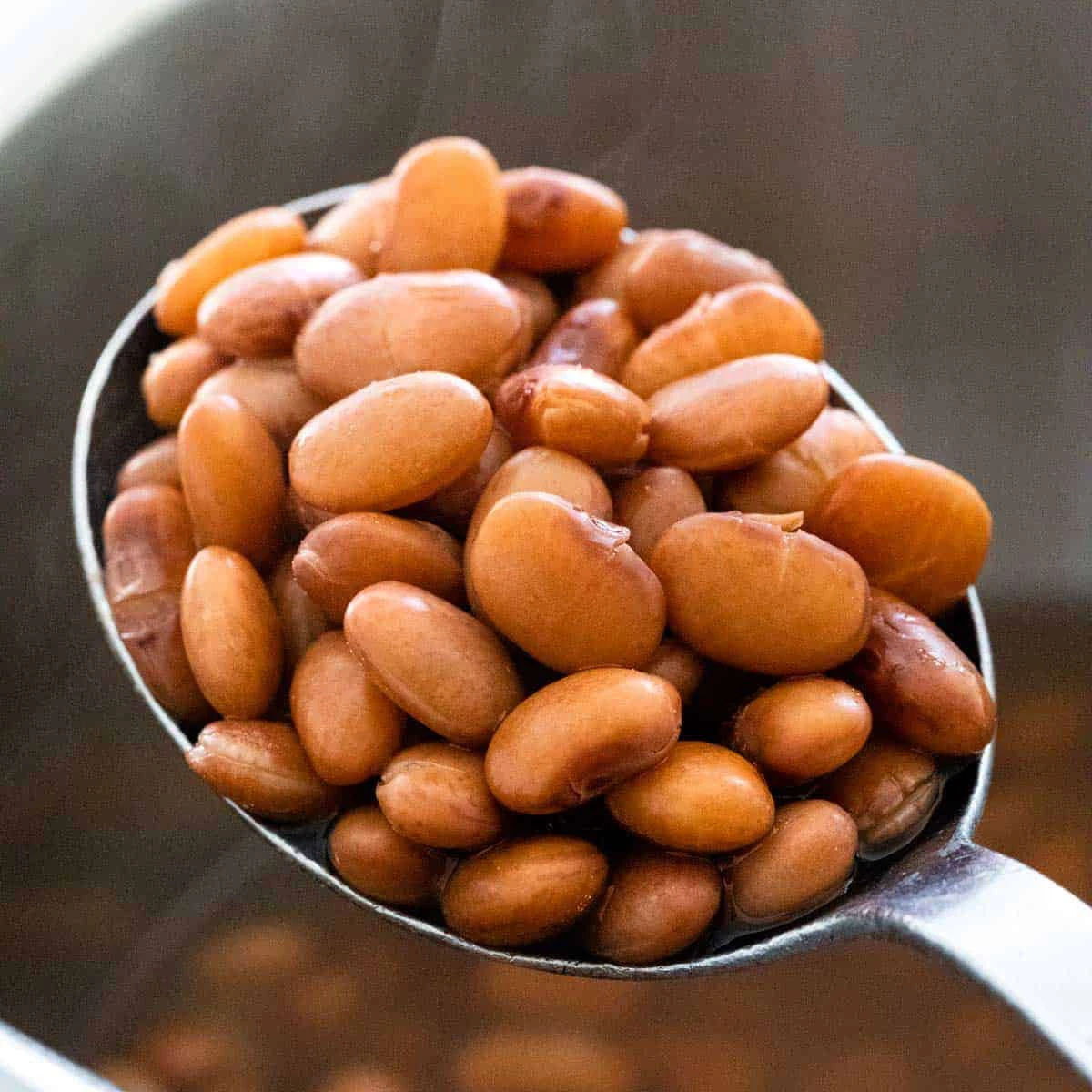 spoonful of pinto beans