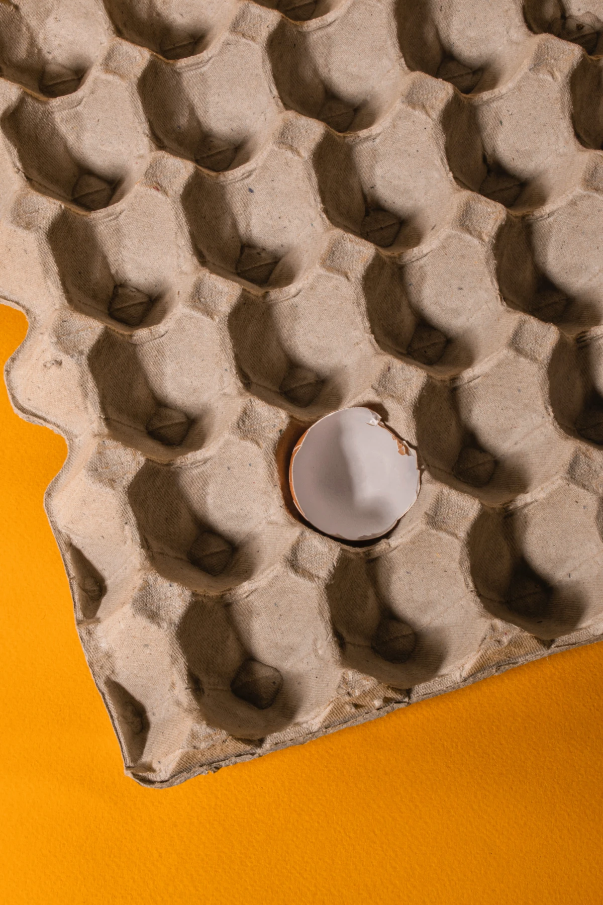 ways to reuse egg cartons empty egg carton on yellow background