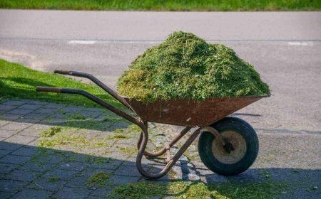 what to do with grass clippings grass clipping in a barrel