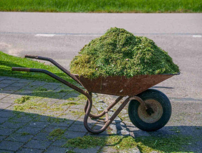 what to do with grass clippings grass clipping in a barrel