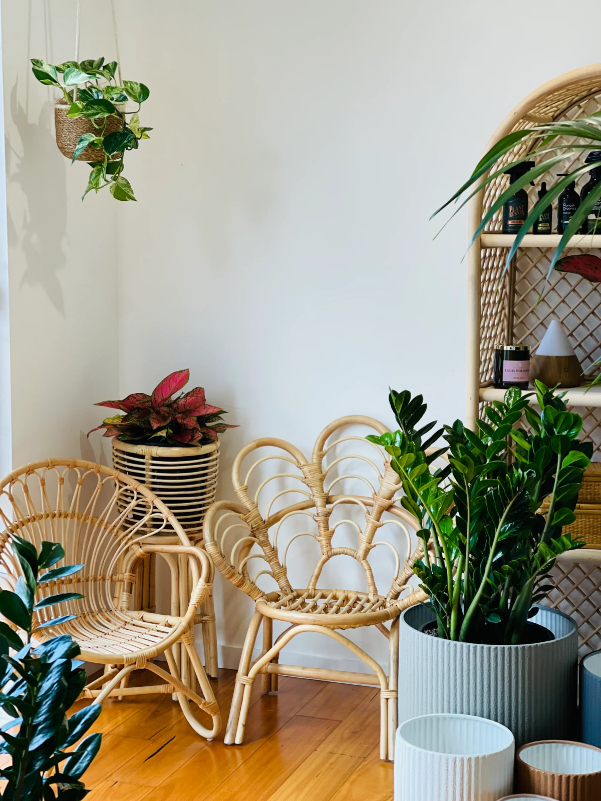 Feng Shui Gardening: What Plants to Put in Each Room for Luck