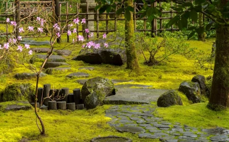 beautiful moss garden