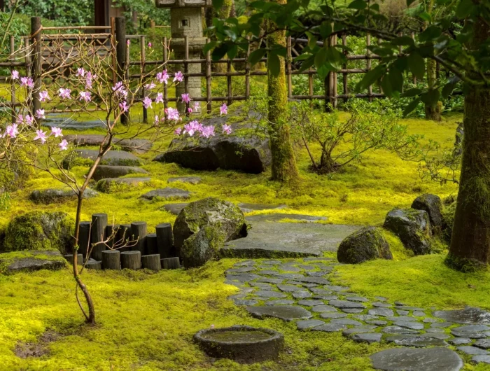 beautiful moss garden