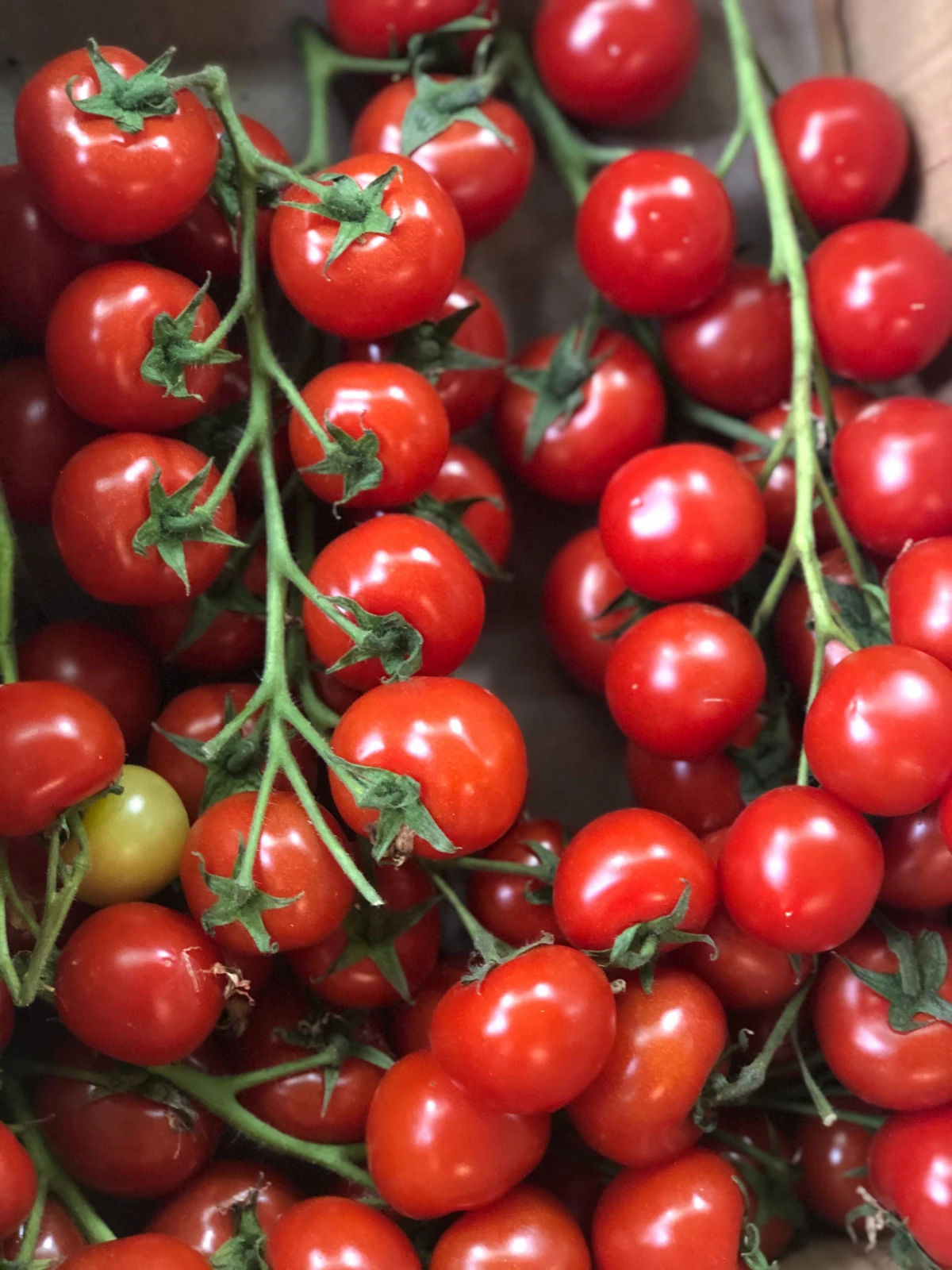 bunches of cherry tomatoes