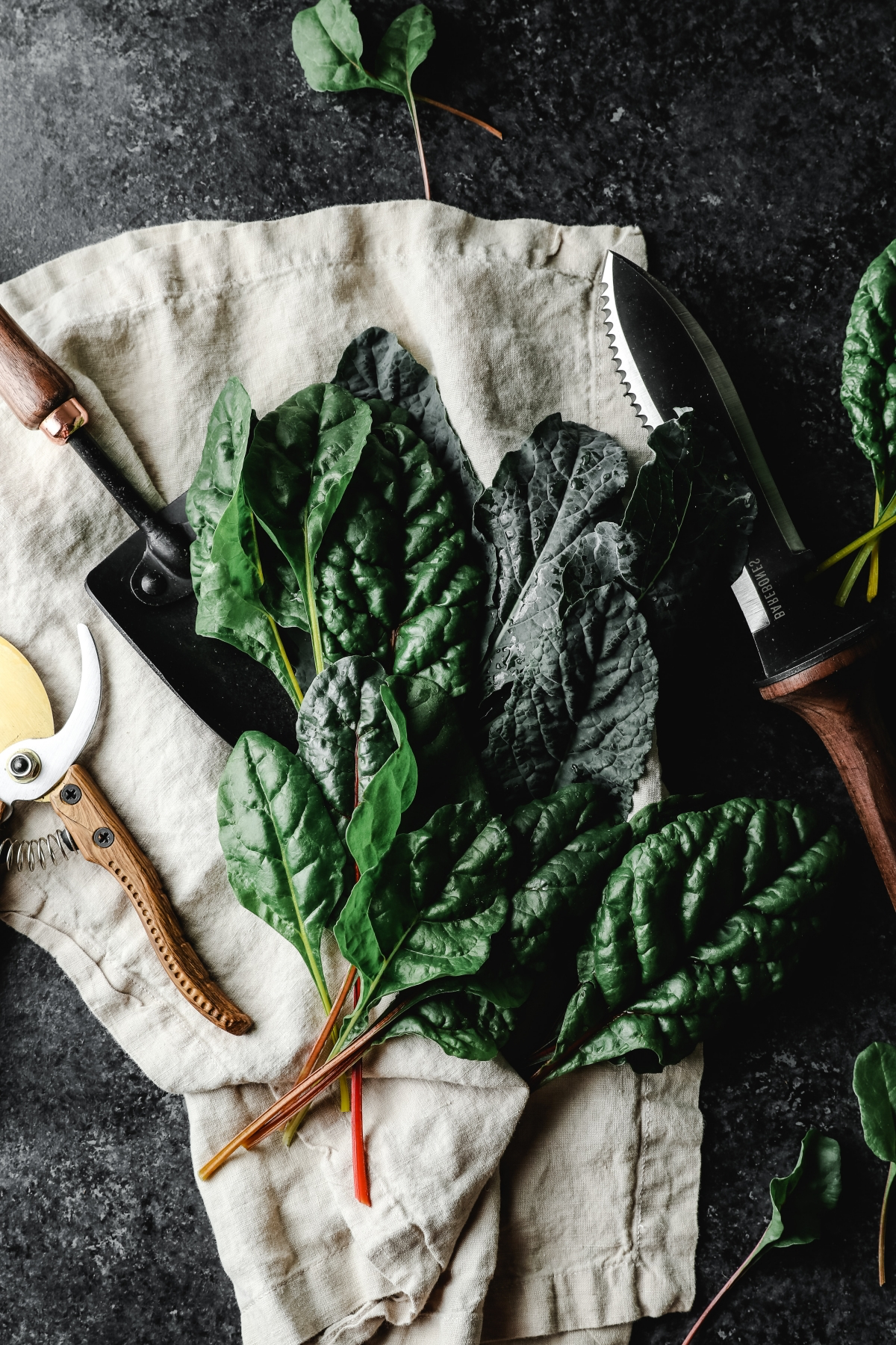 spinach leaves 