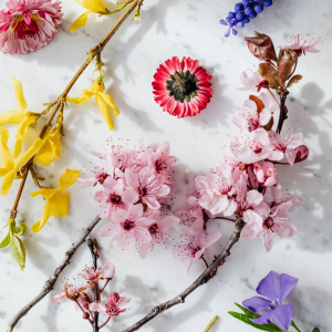 The Ultimate Guide To Birth Month Flowers