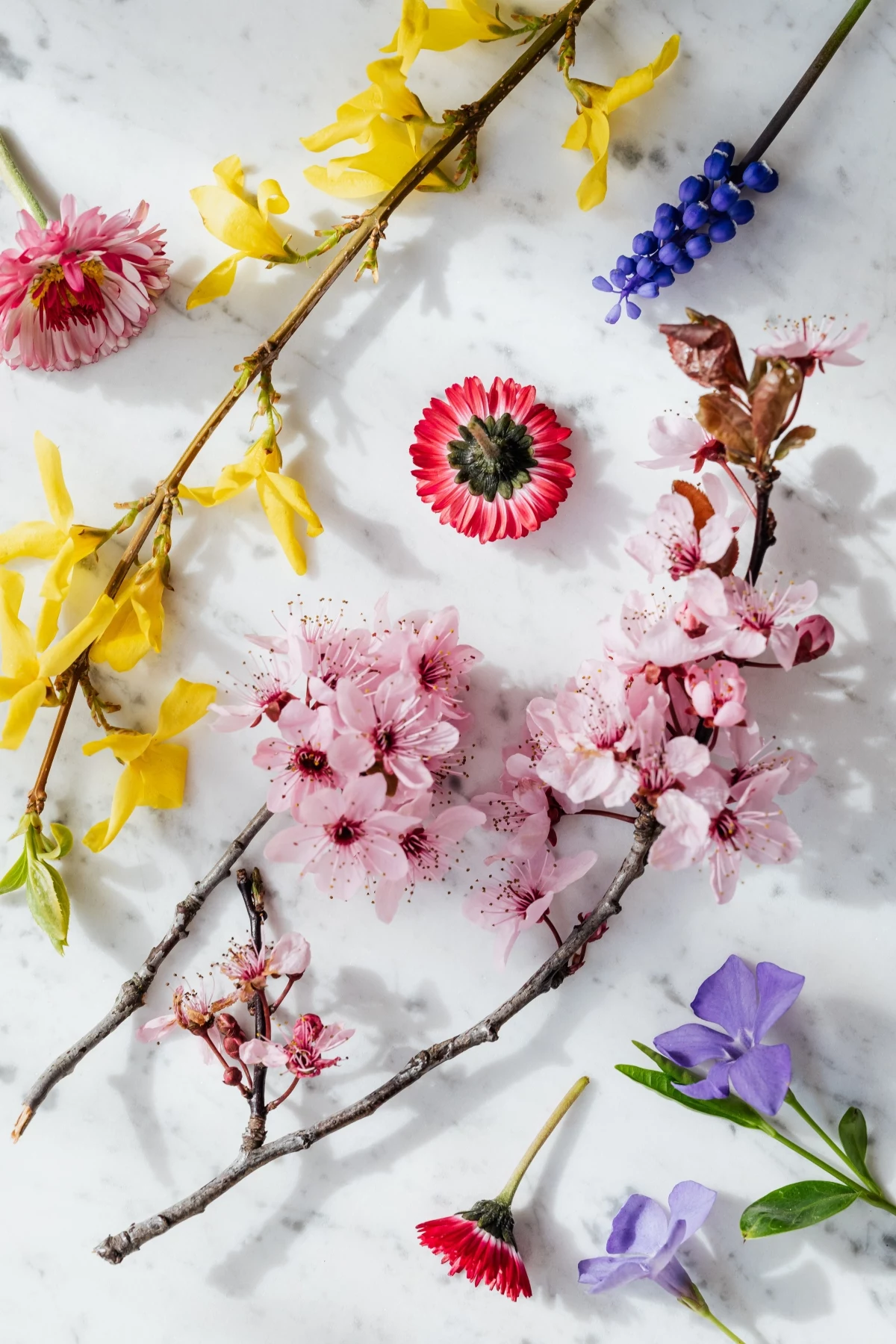 different flowers on a counter