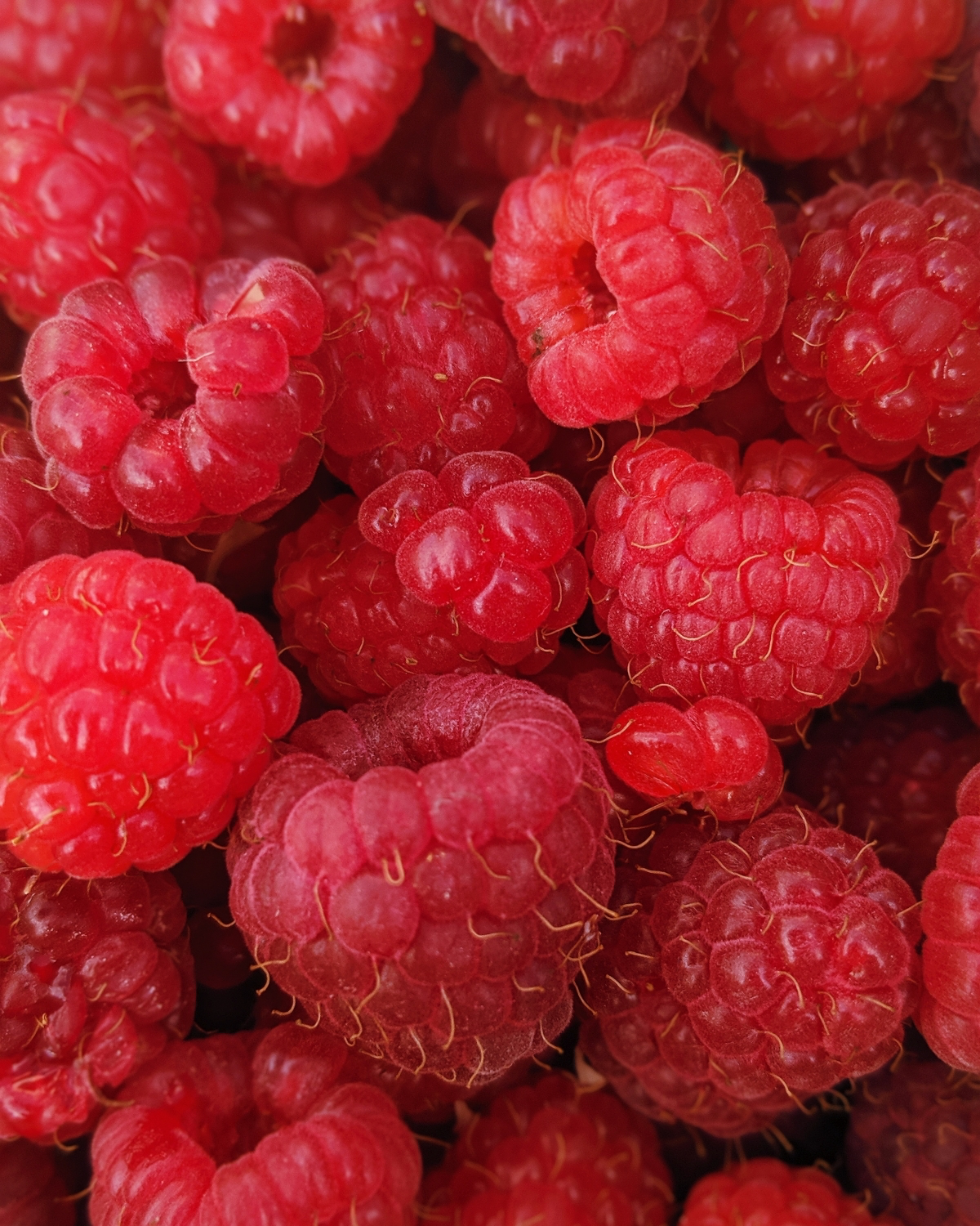 health benefits from eating raspberries