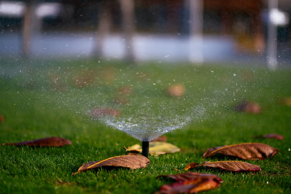 how to keep rabbits out of your garden sprinklers working