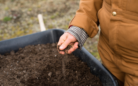Supercharge Your Garden: 5 Easy Ways To Improve Garden Soil